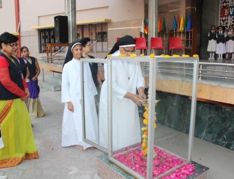 IMG_0677-Medium.JPG