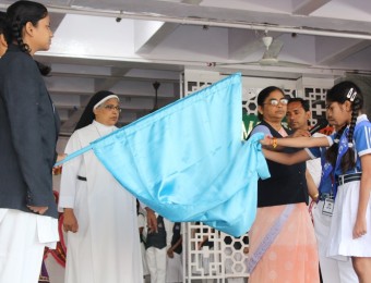IMG_0706-Medium.JPG
